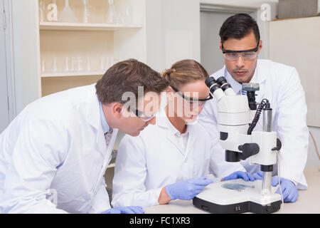Concentrated scientists working together with microscope Stock Photo