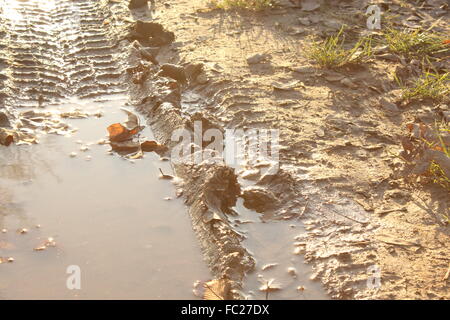 Puddle on path Stock Photo