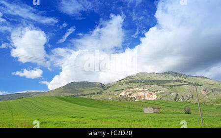 Meadow at Sicily