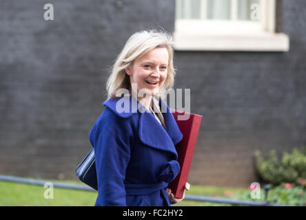 Liz Truss,secretary of State for environment,food and rural affairs arrives at number 10 Downing Street for a cabinet meeting Stock Photo