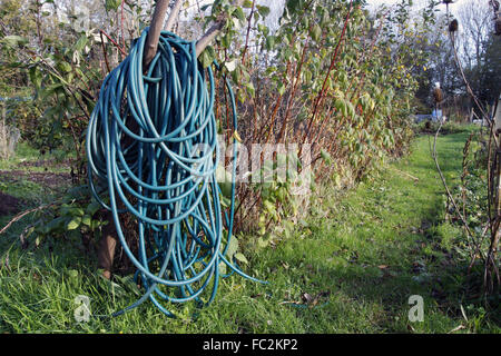 Long coiled water hose Stock Photo