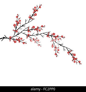 cherry tree isolated on white background Stock Photo