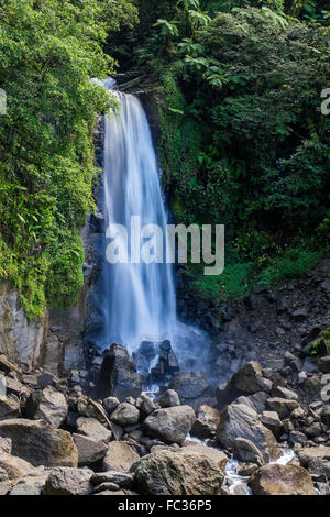 Trafalgar Falls Waterfall Dominica West Indies Stock Photo