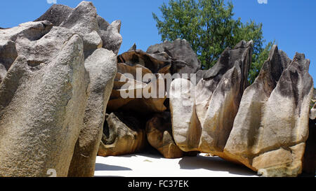 tropical beach on curieuse island Stock Photo