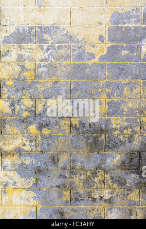 Colored Brick Wall Stock Photo