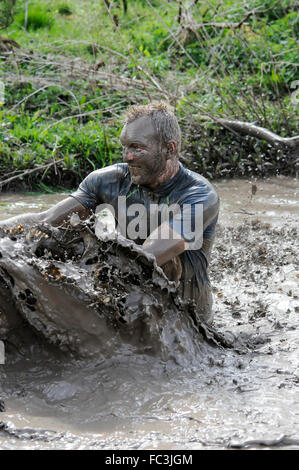 Runners crossing muddy obstacles at obstacle course race, UK Stock ...