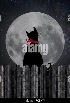 Black cat sitting on wood fence staring at a full moon. Stock Photo