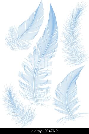 set of smooth blue feather, vector Stock Vector