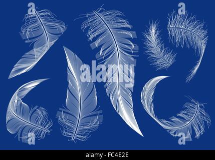 curved flying feathers, set of vector design elements Stock Vector