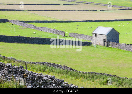 Old stone barn and walls around fields near Castleton, Derbyshire, Peak District National Park, England, UK Stock Photo