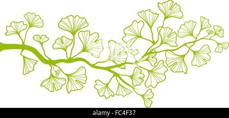 ginkgo tree branch with green leaves, vector background Stock Vector