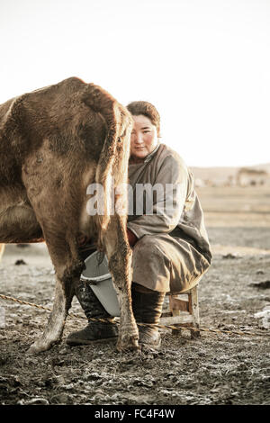 mongolian woman milking a cow Stock Photo - Alamy