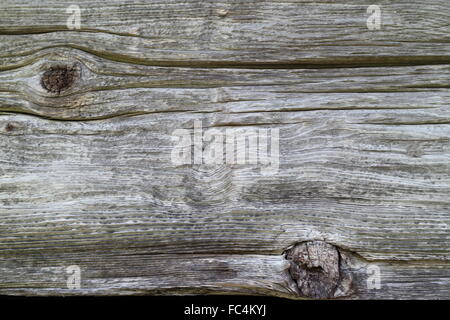 old wooden plate Stock Photo