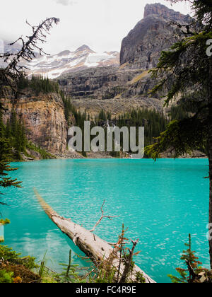 Beautiful, remote Lake O'Hara in Yoho National Park, near Field, British Columbia, Canada; Seven Veils Falls in the background Stock Photo