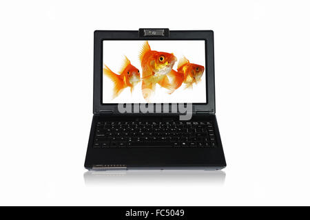 picture of gold fish and laptop computer Stock Photo