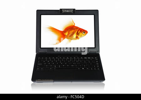 picture of gold fish and laptop computer Stock Photo