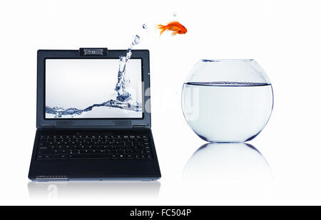 picture of gold fish and laptop computer Stock Photo