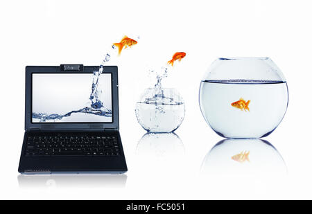 picture of gold fish and laptop computer Stock Photo