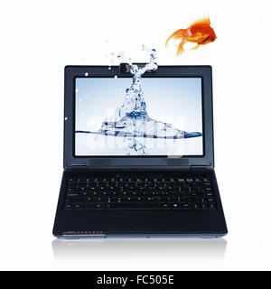 picture of gold fish and laptop computer Stock Photo