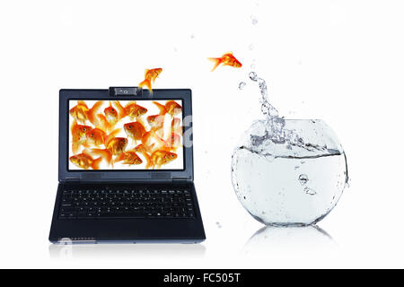 picture of gold fish and laptop computer Stock Photo