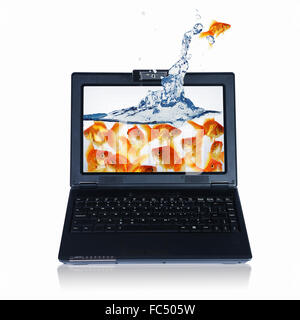 picture of gold fish and laptop computer Stock Photo