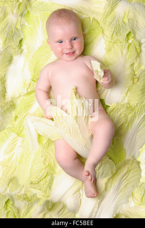 small child is among the lettuce leaves Stock Photo