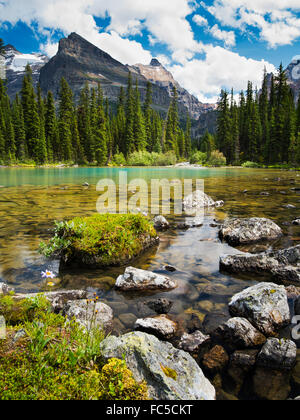 Low-angle view of beautiful, remote Lake O'Hara and Yukness Mountain in the background, in Yoho National Park Stock Photo