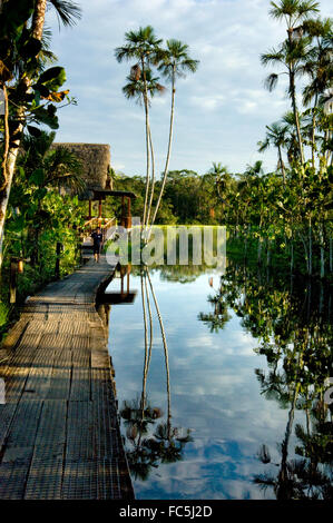 Lodge on the Amazon River in Ecuador Stock Photo