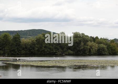 The river Main near Bamberg Stock Photo