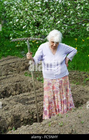The old woman works in a blossoming garden Stock Photo