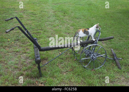 Sowing Plough Stock Photo