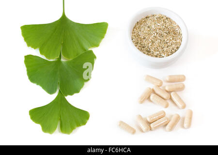 Ginkgo capsules with three leaves Stock Photo