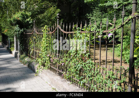 Iron fence Stock Photo