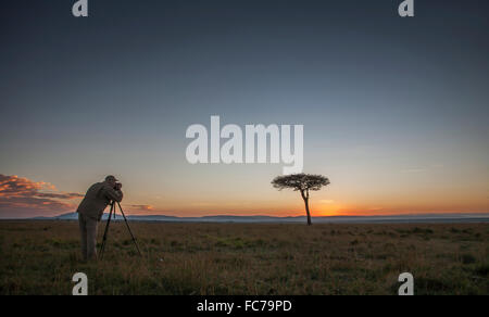 Caucasian photographer photographing tree in savanna Stock Photo