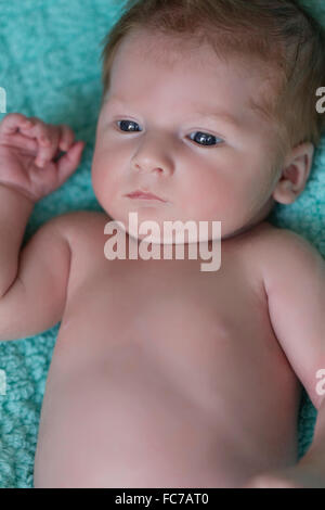 One month old baby boy Stock Photo