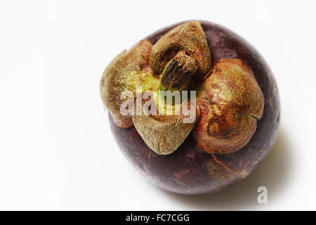fruit Mangostin Stock Photo