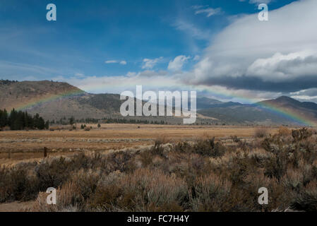 Rainbow over remote desert field Stock Photo