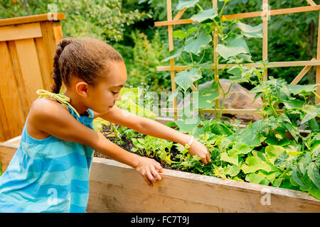 Mixed race girl examining plants in garden Stock Photo