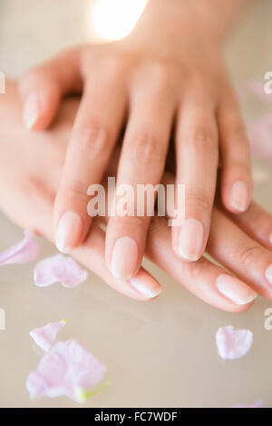 Close up of hands of Hispanic woman Stock Photo