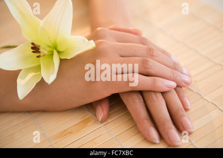 Hands of Hispanic woman with flower Stock Photo