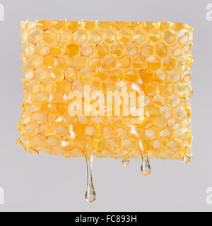 Honey dripping on honeycombs Stock Photo