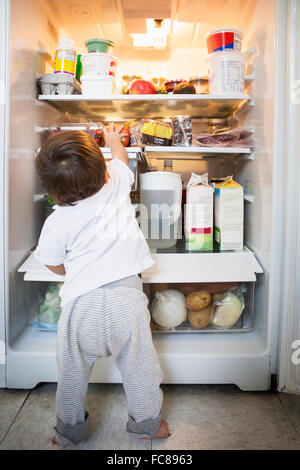 Mixed race baby boy exploring refrigerator Stock Photo