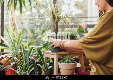 Caucasian woman holding potted plant Stock Photo