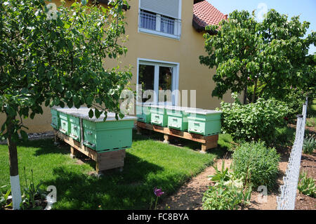 Beehives in garden Stock Photo