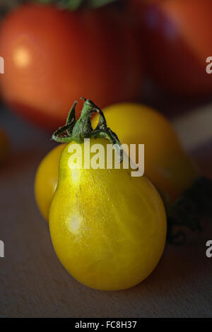 Tomato Variety: Yellow Submarine Stock Photo