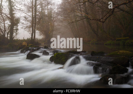 Early morning mist on the Lyhner River in East Cornwall