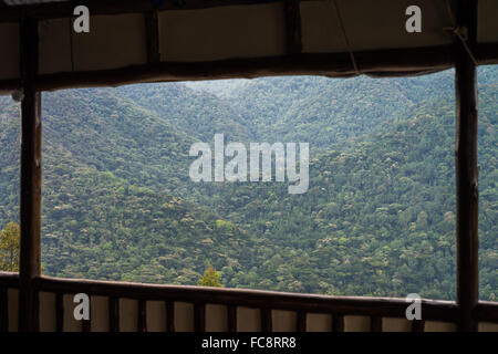 terrace of The Bwindi Lodge, Bwindi Impenetrable National Park, Buhoma, Uganda, Africa Stock Photo