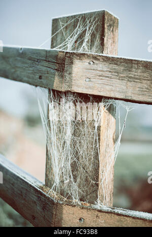 Ice covered cobwebs on wooden fence posts in the winter countryside Stock Photo