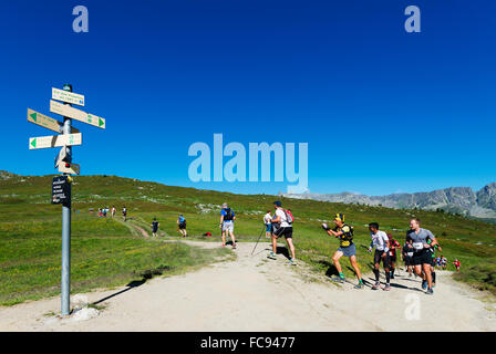 Chamonix trail running marathon, Chamonix, Rhone Alps, Haute Savoie, French Alps, France, Europe Stock Photo