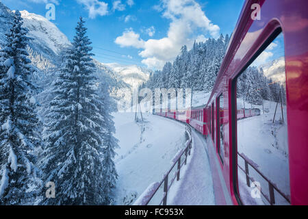 Bernina Express passes through the snowy woods, Filisur, Canton of Grisons (Graubunden), Switzerland, Europe Stock Photo